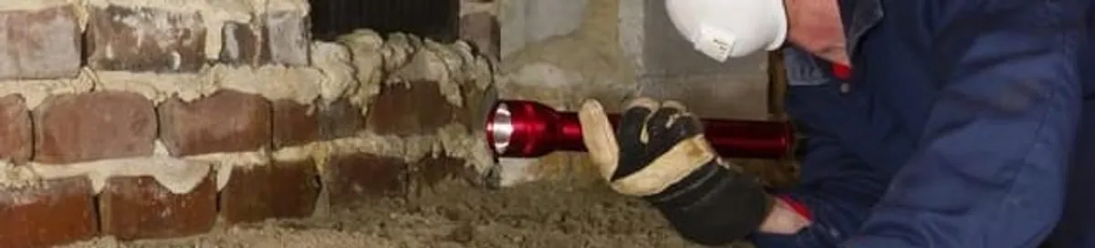 Pest control technician inspecting a crawl space for ant activity and entry points in Yonkers, NY