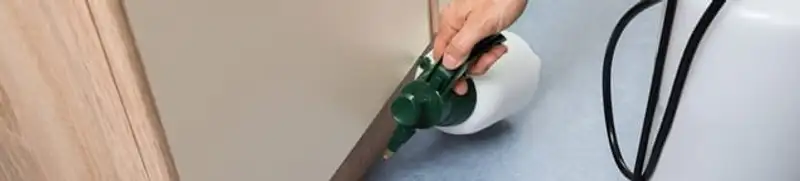 Bed bug exterminator treating baseboards and cracks with targeted spray in Yonkers, NY