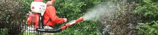 Mosquito control technician fogging shrubs and landscaping for mosquito treatment in Yonkers, NY