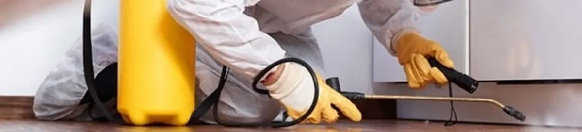 Roach exterminator treating cracks and crevices along kitchen baseboards in Yonkers, NY