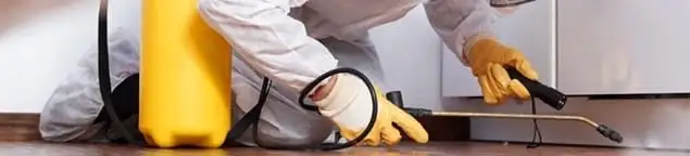 Roach exterminator treating cracks and crevices along kitchen baseboards in Yonkers, NY