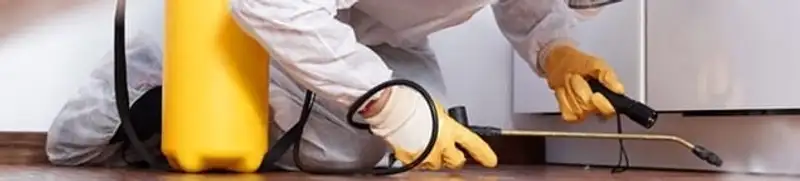 Roach exterminator treating cracks and crevices along kitchen baseboards in Yonkers, NY