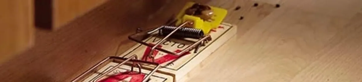 Rodent trap set indoors for rodent control and prevention in Yonkers, NY